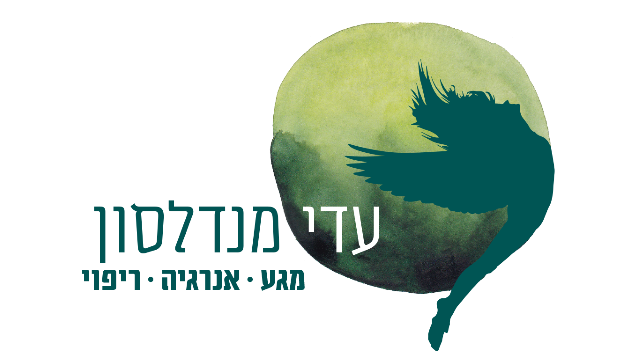 שקוף_logo_adi (1)